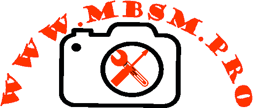 MBSM Logo - Secure File Search Service